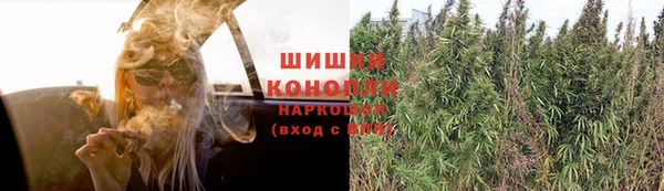 дурь Алексеевка