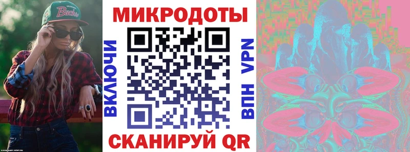 Галлюциногенные грибы Psilocybine cubensis Новая Ладога