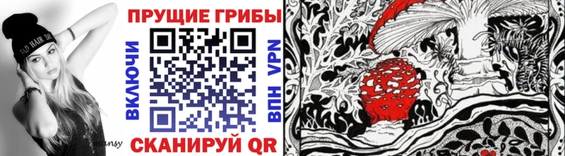 hydra как войти  наркошоп  Новая Ладога  Псилоцибиновые грибы Psilocybe 